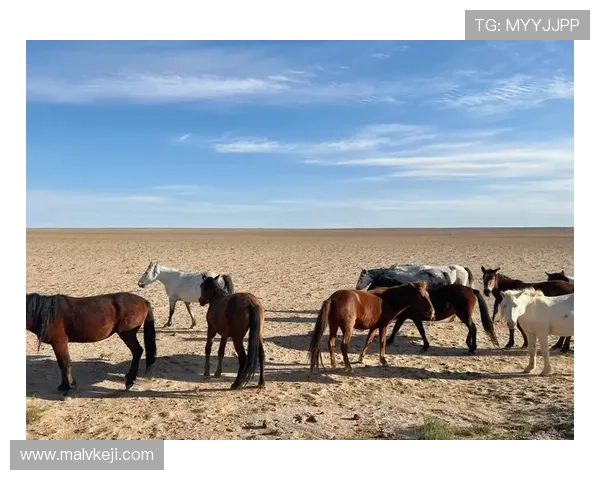 牛牛带你探索草原世界的奥秘与奇观，感受自然与生命的完美交响